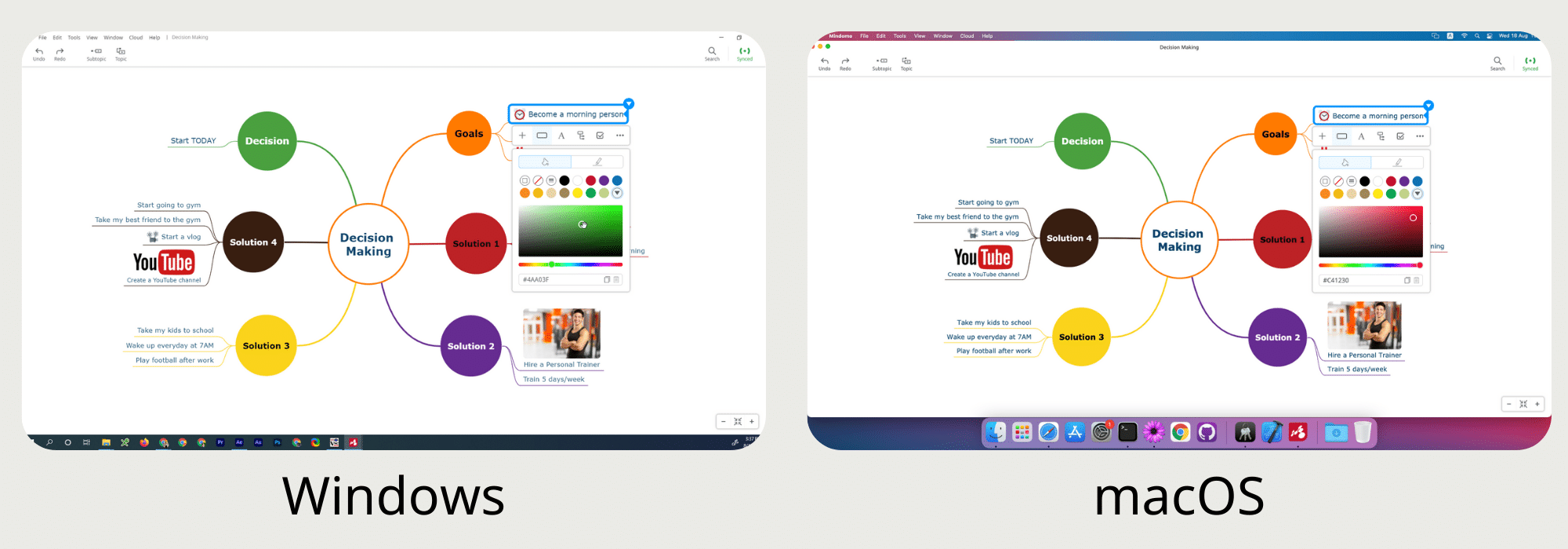 Mulquatro 10 for Windows and macOS Features