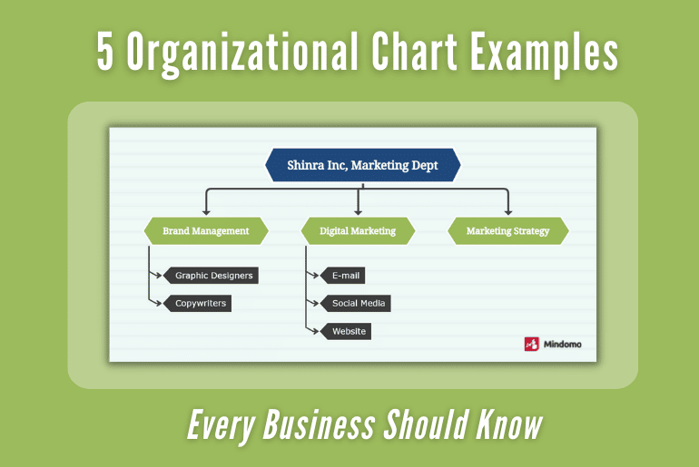 5 Organizational Chart Examples Every Business Should Know