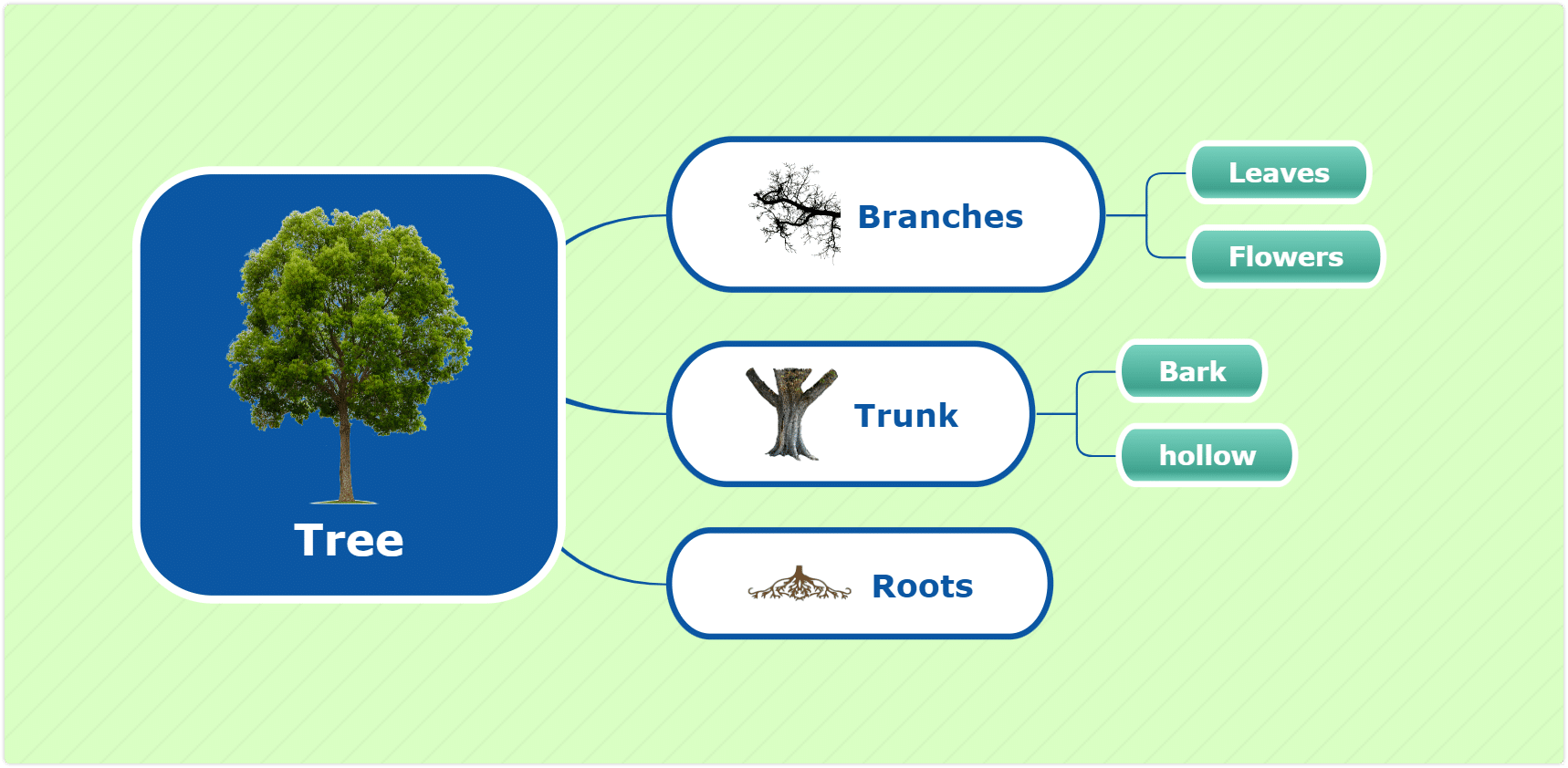 Brace map - mind map type