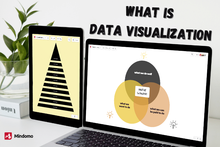 The What, Why & How of Data Visualization