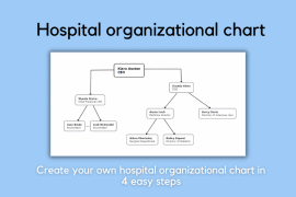 Hospital organizational chart