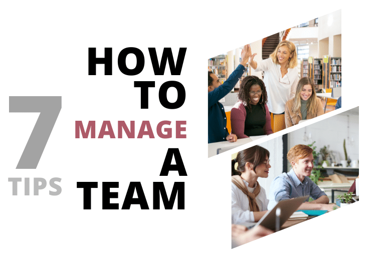 how to manage a team