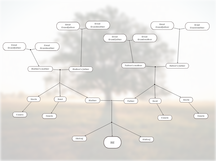 Genealogy Chart