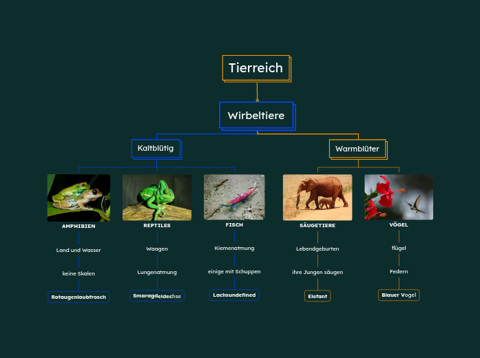 Tierreich
