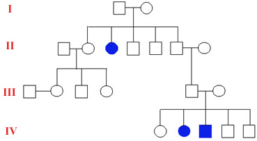 Example of a pedigree chart