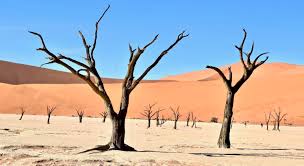 DESERTIFICATION