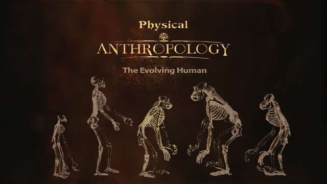 Physical Anthropology