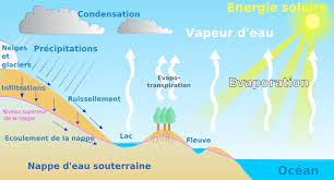 le cycle de precipitation