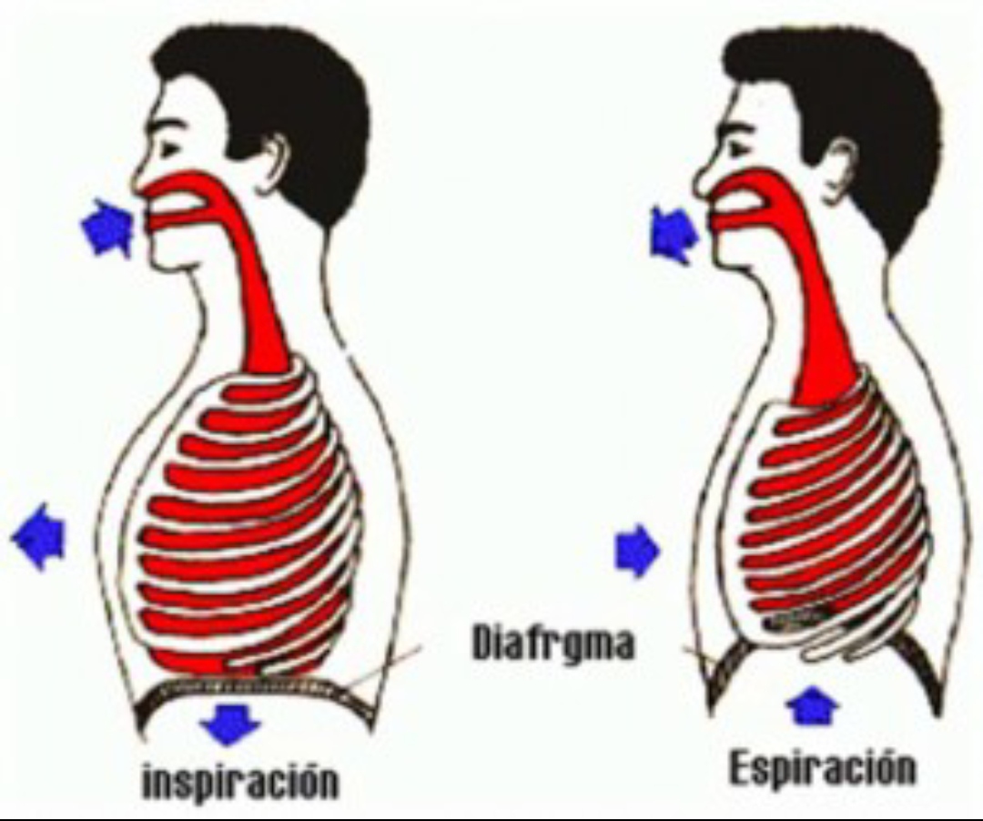 Respiración areobica