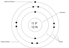 bohr-rutherford diagram