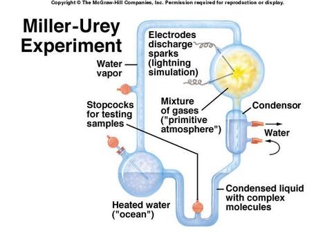 Miller Urey