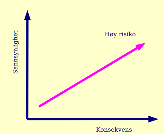 6 Risiko og sårbarhet