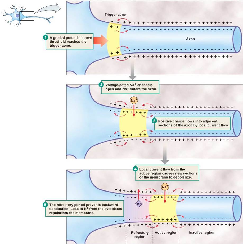 Mechanism