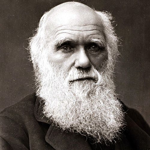 Charles Darwin 
He proposed that species were forced to develop or become extinct and that humans first evolved in Africa.