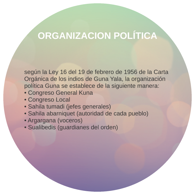 Organizacion Politica y Social