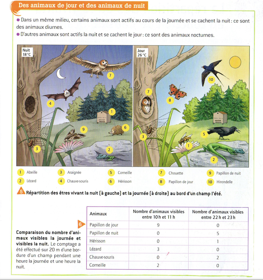 ACTIVITÉ 2: Doc 5 et 6 p 27