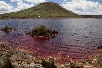 Contaminación ambiental