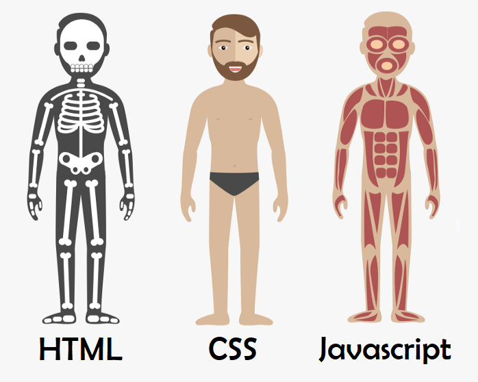 html+css+js no mundo real

fonte: https://www.alura.com.br/artigos/html-css-e-js-definicoes