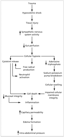 Pathological Effects