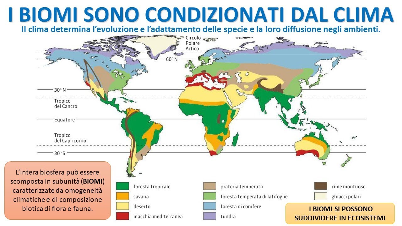 1. Un sottile strato di vita
2. Il clima sulla Terra