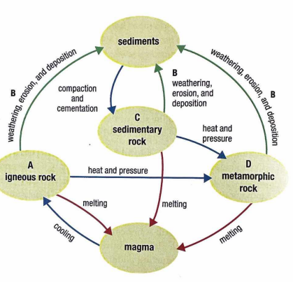 The rock cycle is a web of processes that outlines how each of the three major rock types igneous, metamorphic, and sedimenta