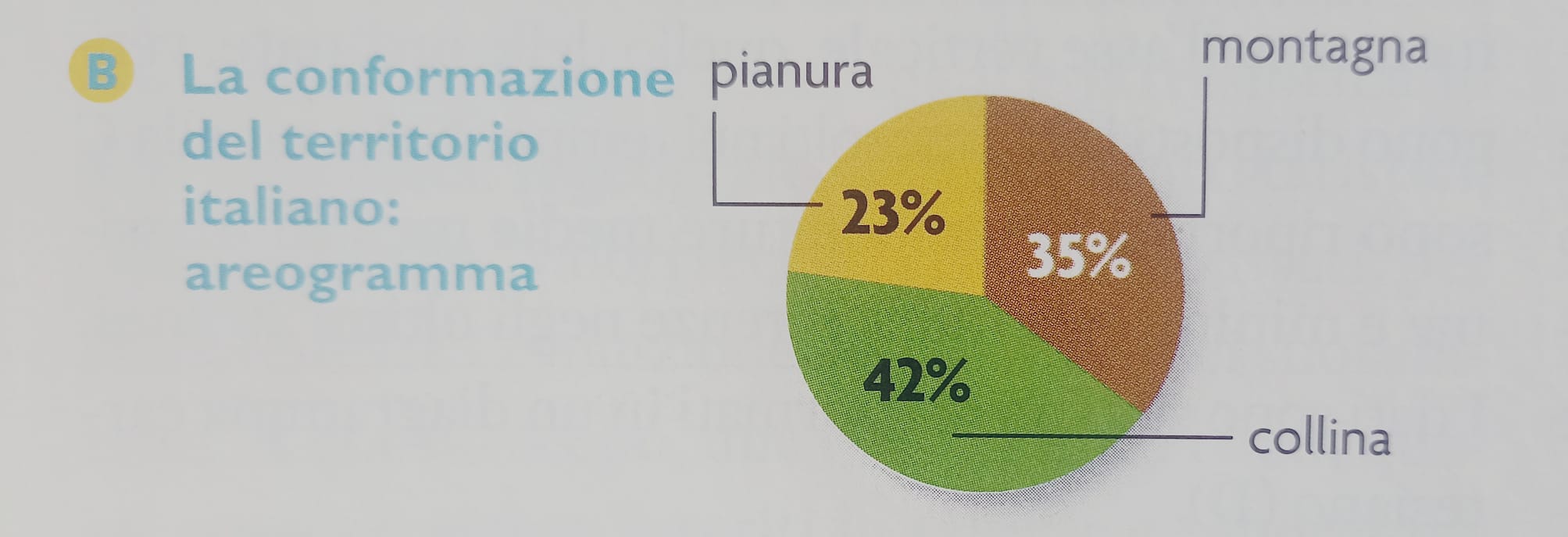 Areogramma o diagramma a torta