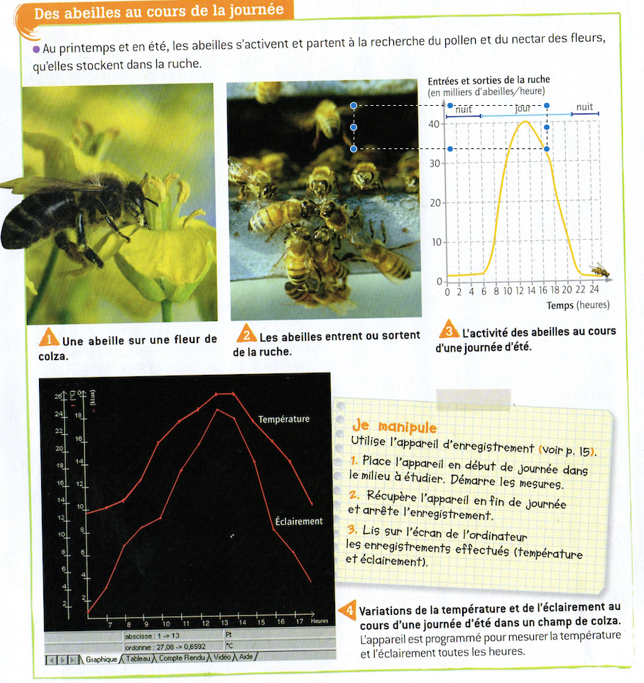 ACTIVITÉ 1: Documents 3 et 4 p26