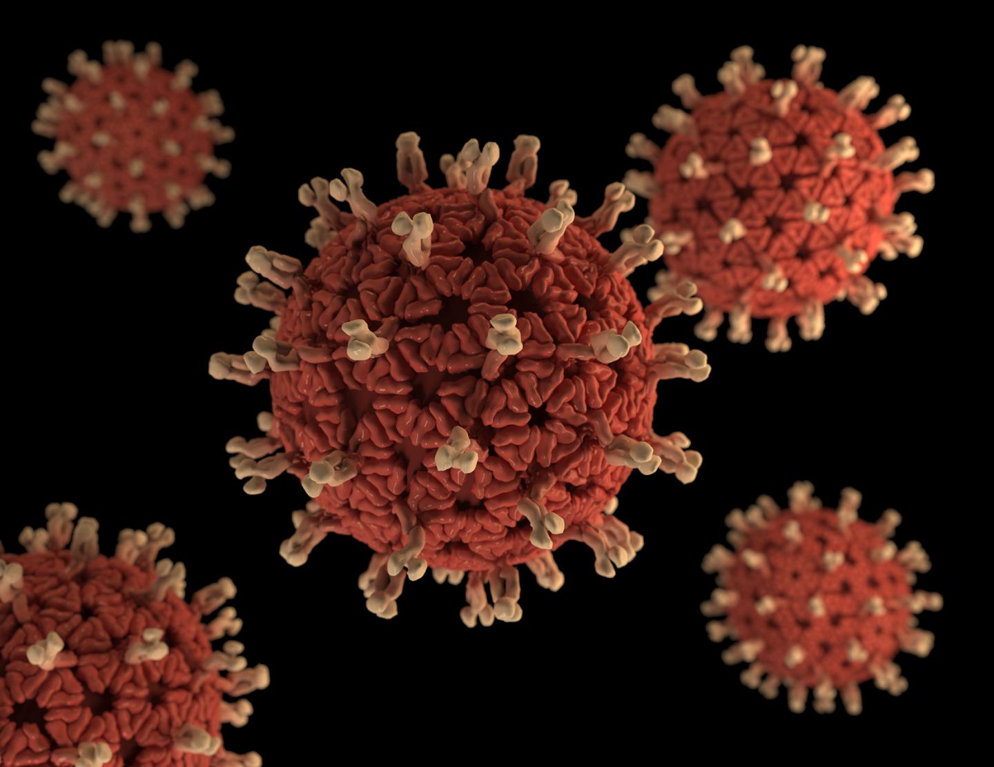 Rotavirus