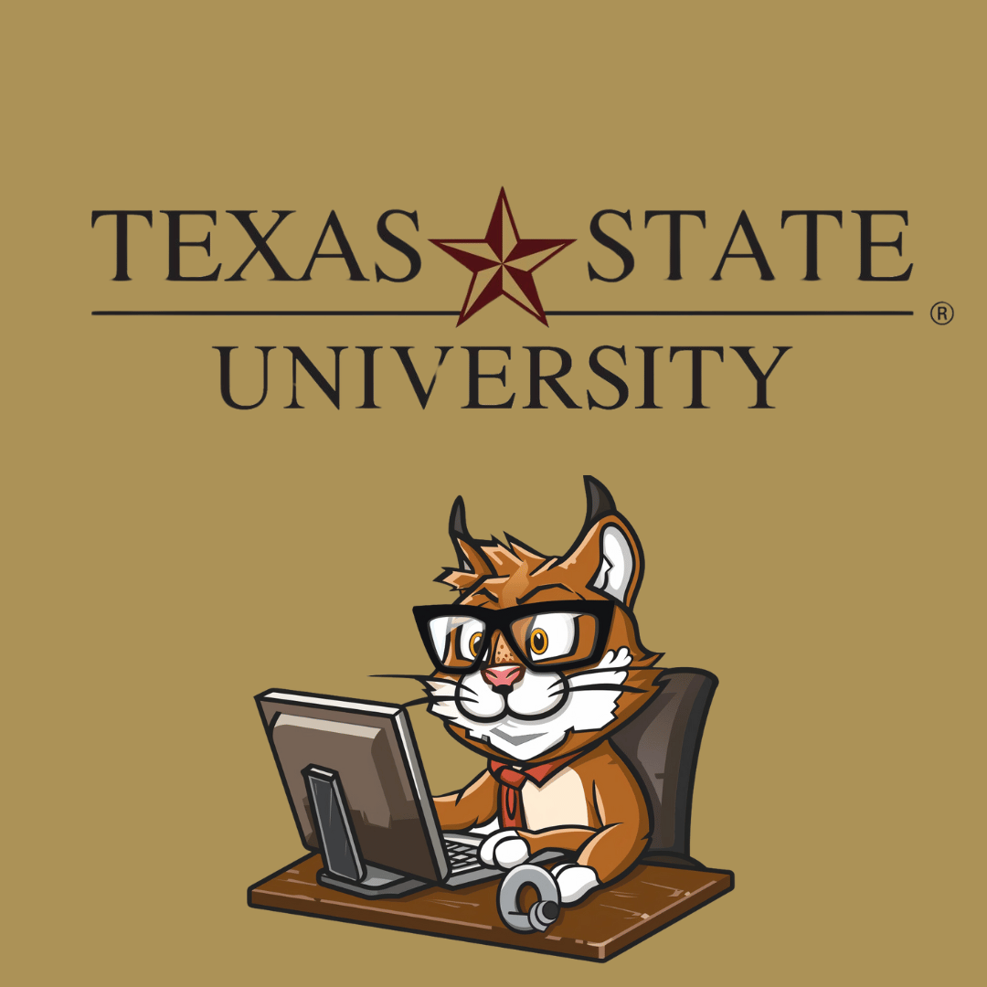 Texas State University 
IT Objectives