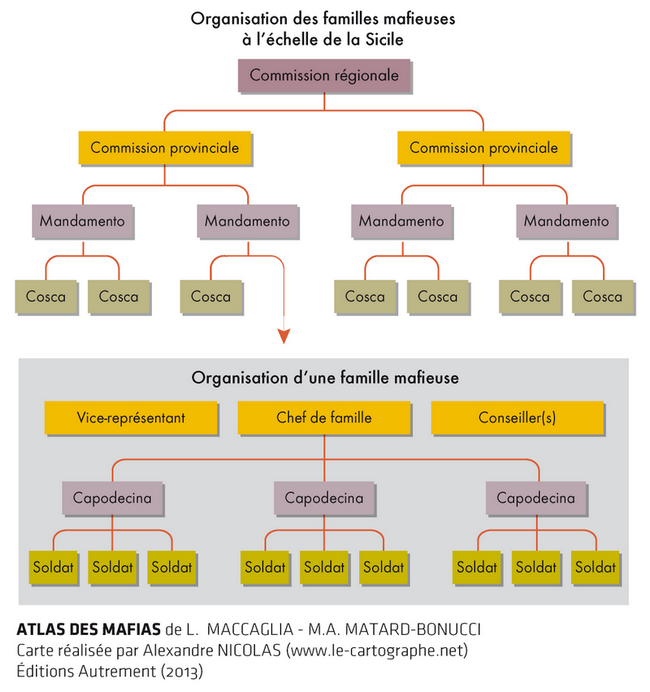 Organigramme par fonction