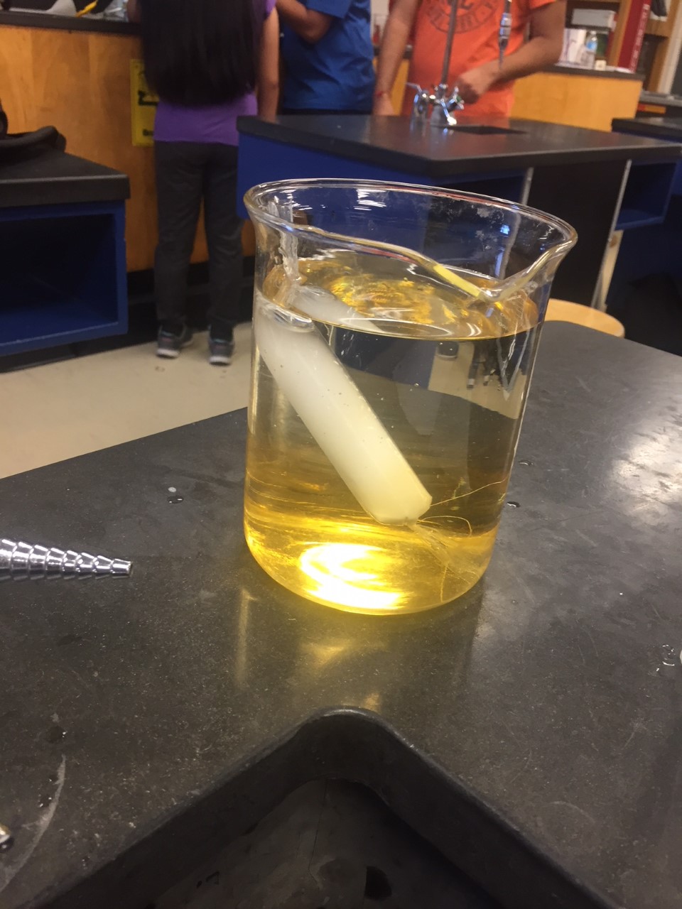 Osmosis and diffusion lab in class. The dialysis tube is filled with cornstarch and water. (1)