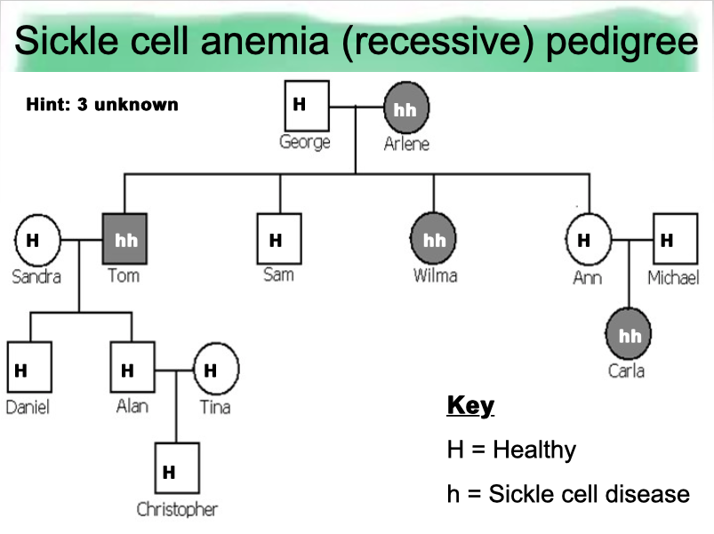 This pedigree presents SCA in an
autosomal recessive pattern.