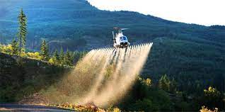 Insecticides in New Brunswick
1970s