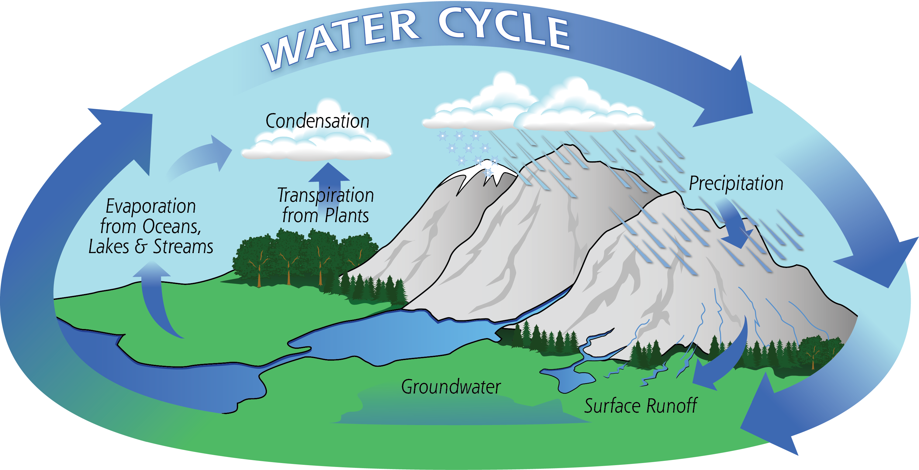 The water cycle is the process of how water moves around from the ground to the sky and repeats. There are four main steps to