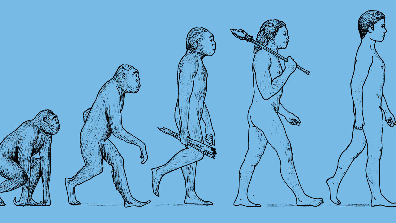 Evolution 
When organisms develop and change over time