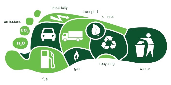 An ecological footprint is the history of how you affect the environment. This includes the waste you produce, the land you t