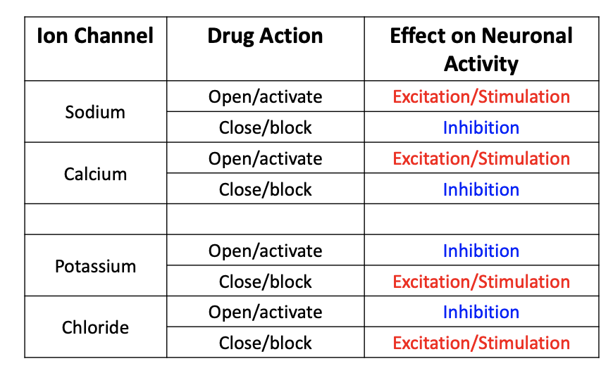 Drug Action on Ion Channels and Neuronal activity