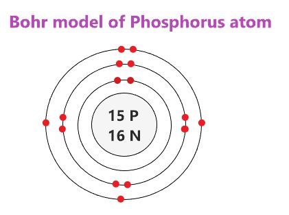 Bohr-Rutherford