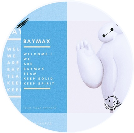 BAYMAX TEAM