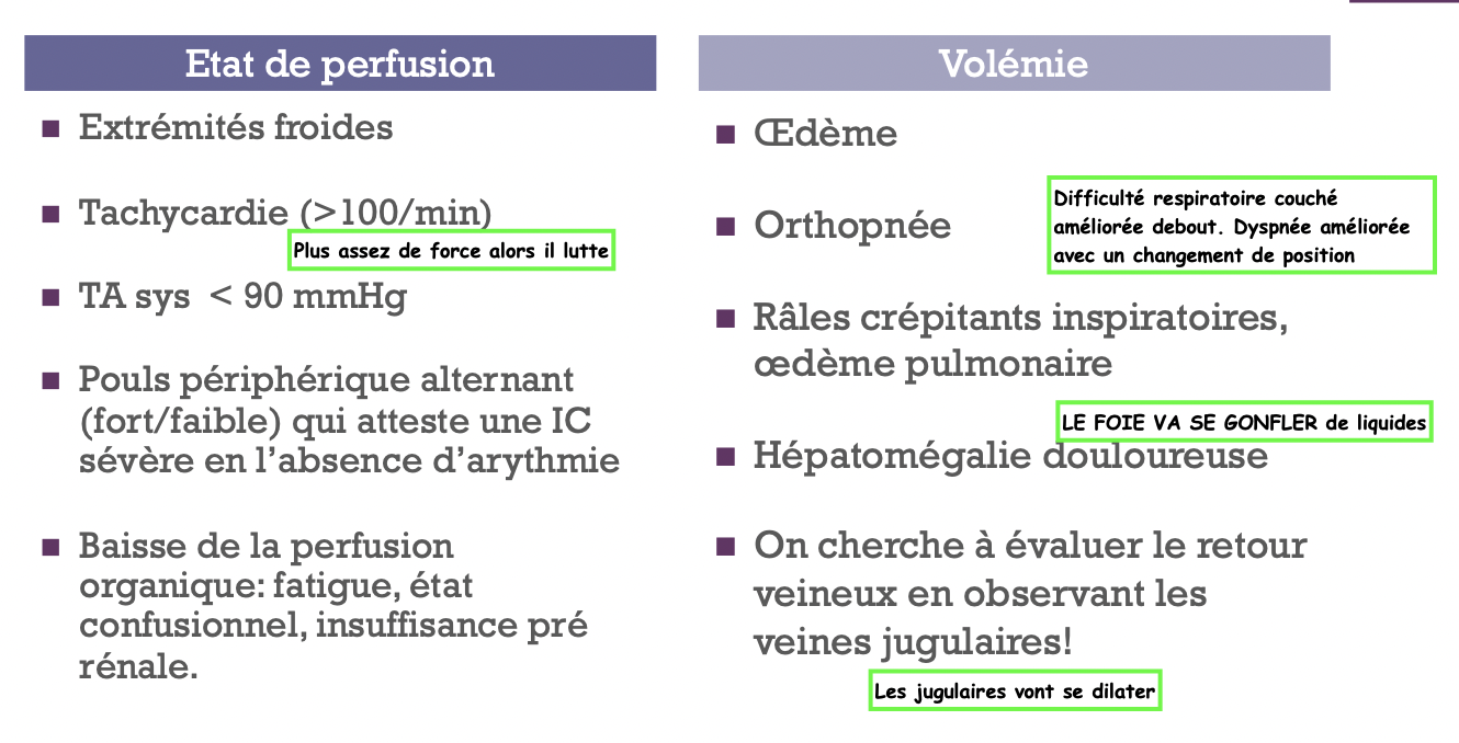 Perfusion et volémie