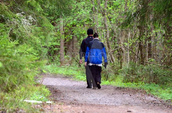 5 minuter skogspromenad räcker för att sänka människans puls och blodtryck