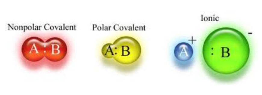 visual representations of bonds