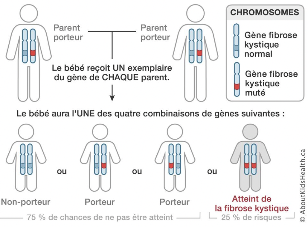 Facteurs de transmission génétique de la maladie