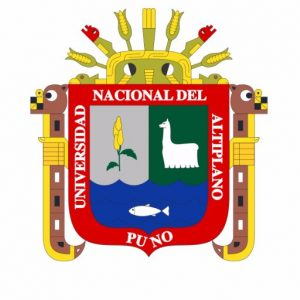 Tesis 2 (Universidad Nacional del Altiplano).-Fundamentos de la viabilidad de la formalización de la minería a
pequeña escala