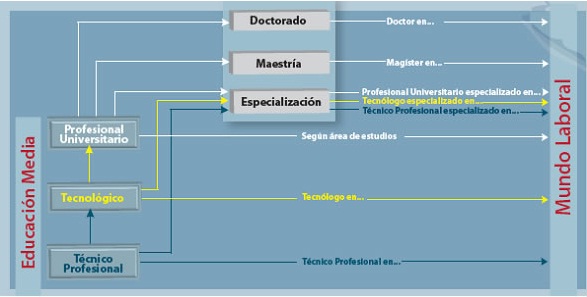 Organización de la Educación Superior en Colombia