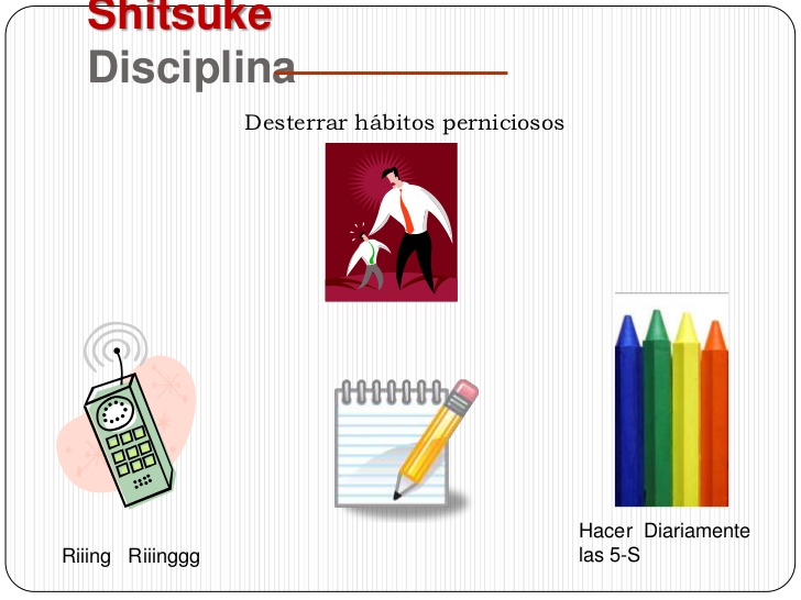 SHITSUKE