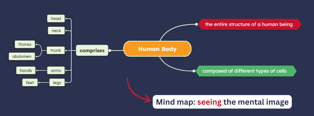 Mind map: SEEING the mental image