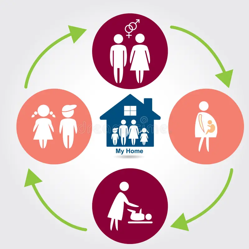 Family life cycle