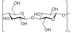 Celuloza