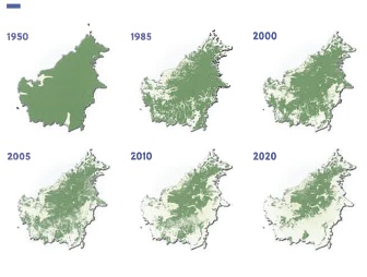 na Borneu za posledních 70 let